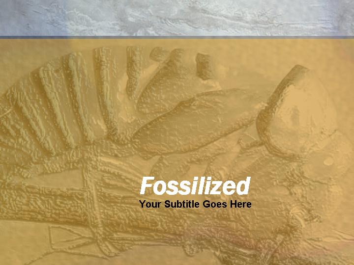 幻灯片模板fossilizedPPT模板